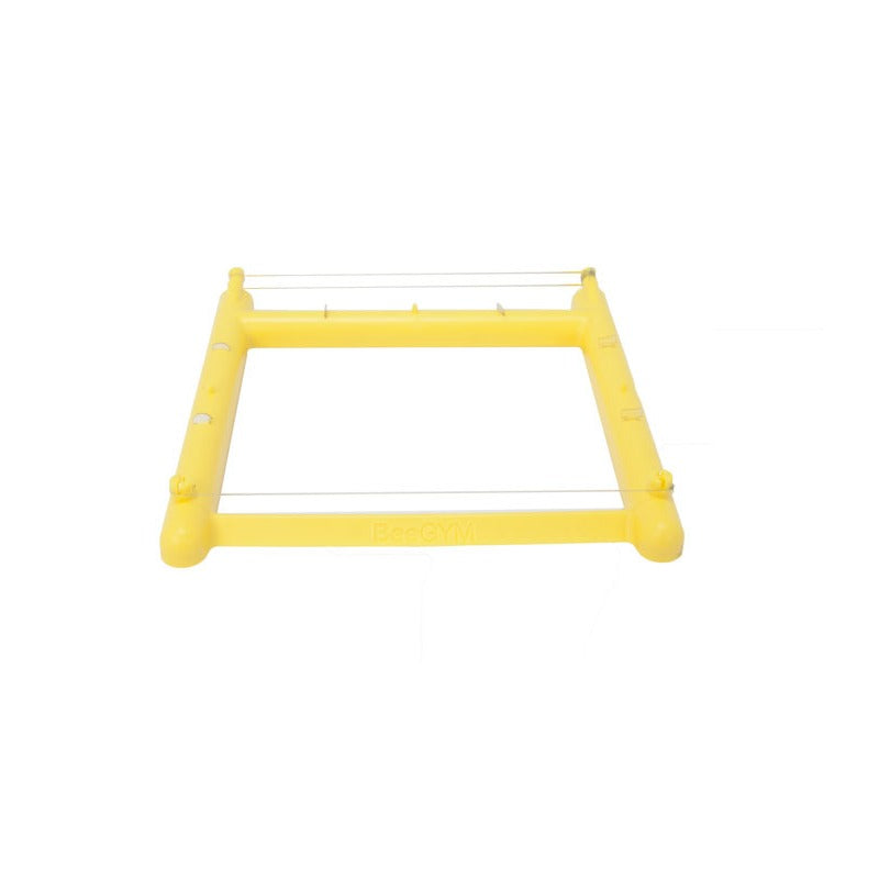 Bee-Gym